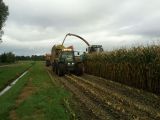 2011-10-08 12.58.45.jpg