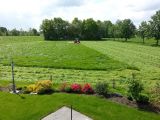 2013-05-24 11.46.56.jpg